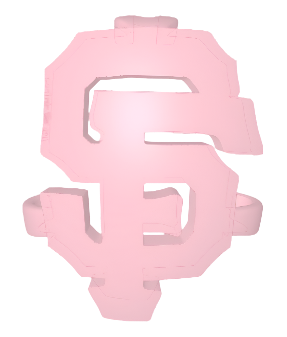 APM City Attachment - PINK